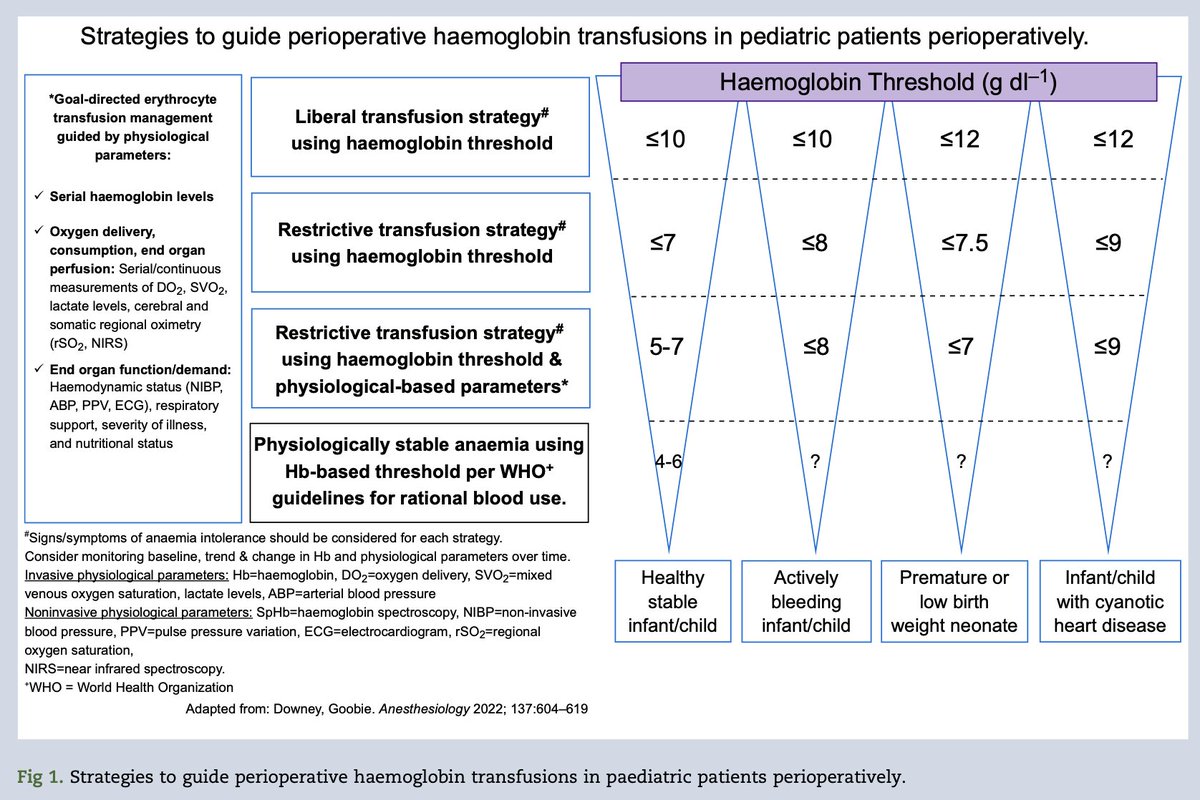 What strategies should we use to guide the #perioperative use of blood products in #paediatric patients? #anaesthesia #blood #PBM

bjanaesthesia.org/article/S0007-…