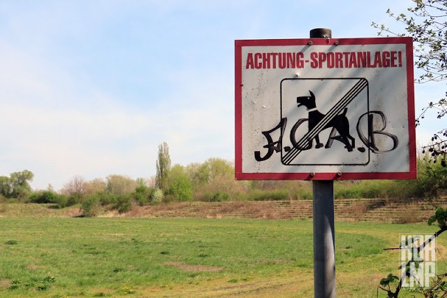 Weltweiter Sachsenpokalrekordsieger tweet media