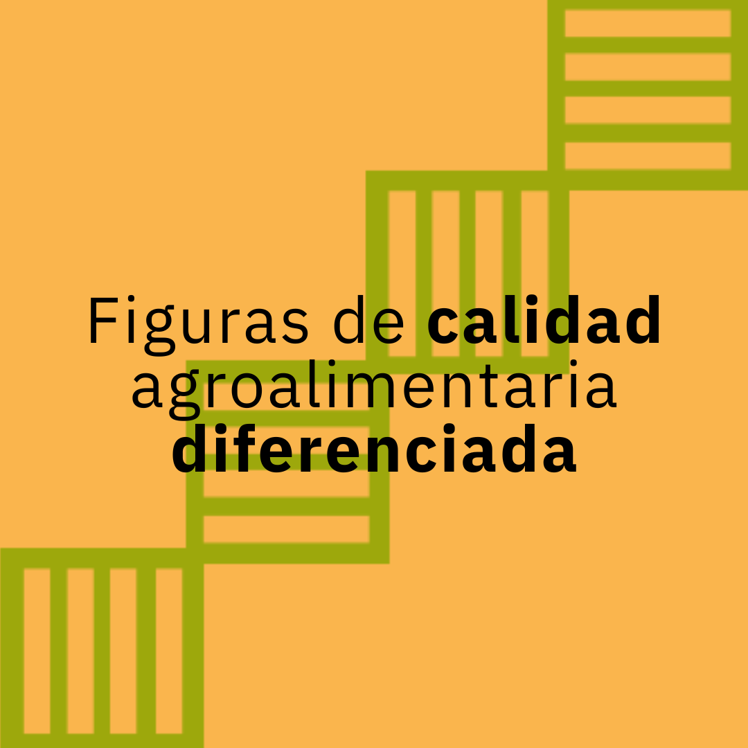 mestresdelsabor's tweet photo. ☀️L'orografia, #climamediterrani i diversitat de la #ComunitatValenciana ens converteix en un #territori molt ric en productes de qualitat durant tot l'any. Això es manifesta en figures de qualitat com les #IGPs i #DOP https://t.co/TchMTyCUlV