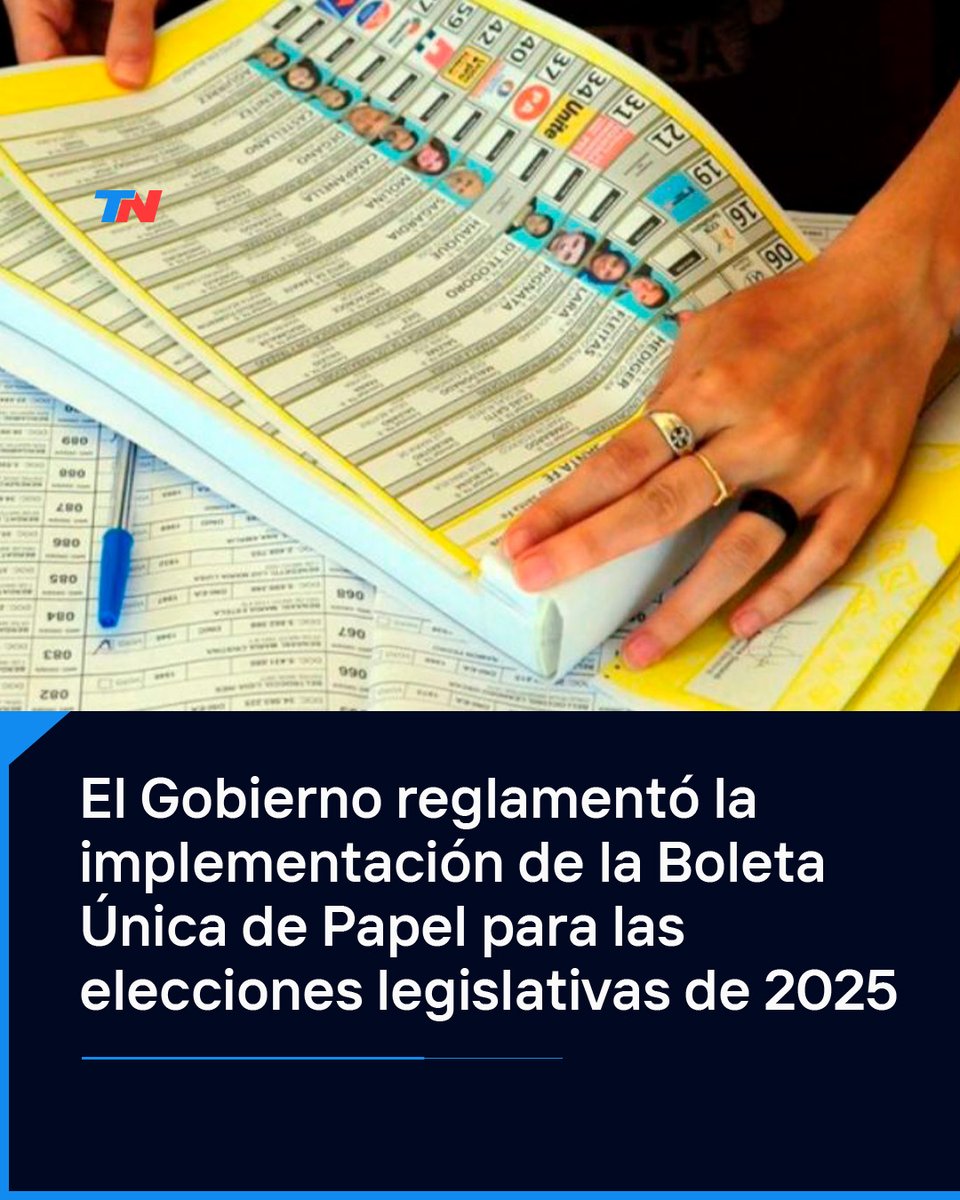 TN - Todo Noticias tweet media