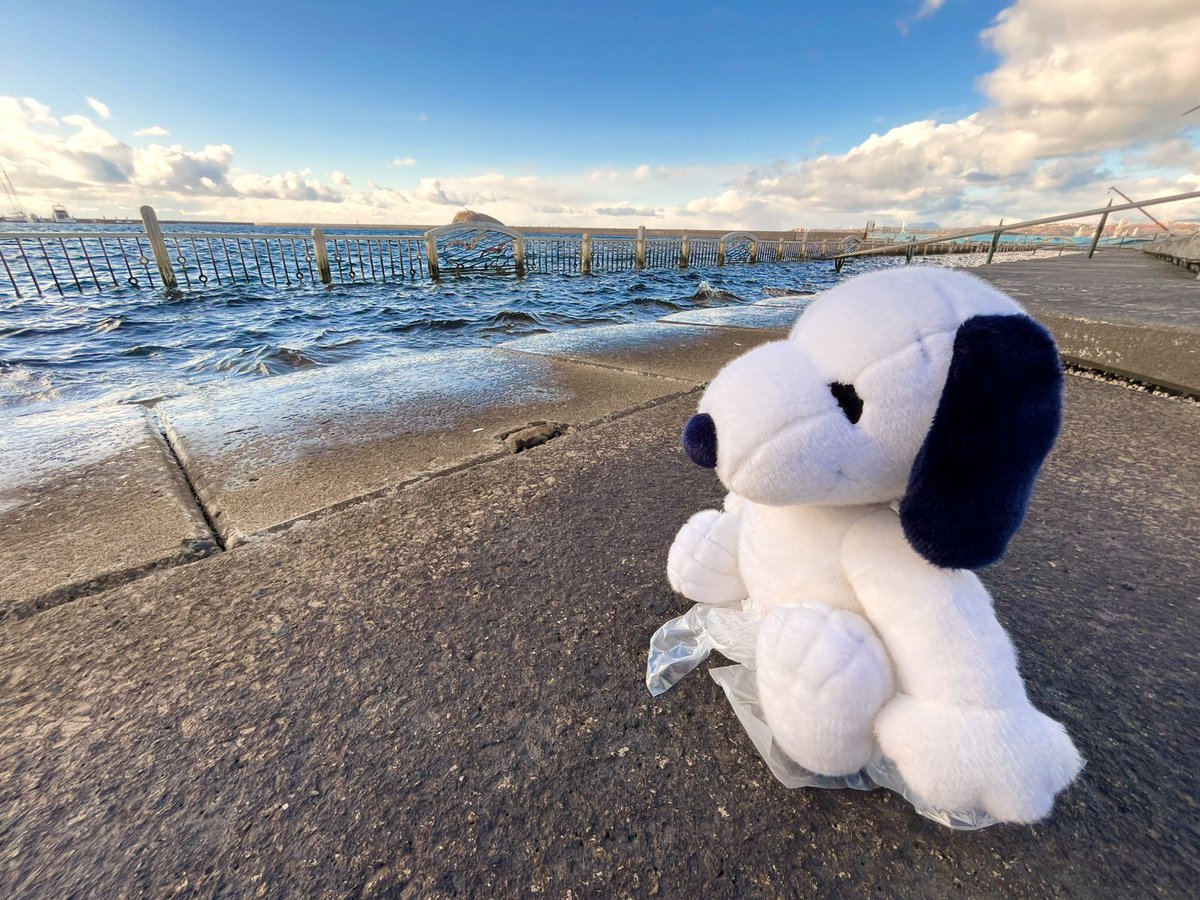 pepebu0303's tweet photo. みんなの幸せを願って鐘を鳴らす
SNOOPY🔔
#スヌーピー　#SNOOPY
#ピーナッツ　#みたら室蘭 
#ぬいぐるみの時間　#ぬい撮り https://t.co/dlOuwsn9YL