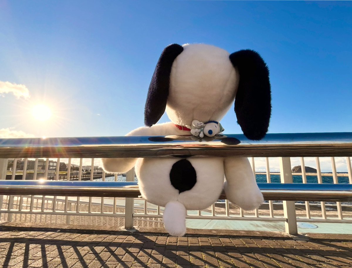 pepebu0303's tweet photo. みんなの幸せを願って鐘を鳴らす
SNOOPY🔔
#スヌーピー　#SNOOPY
#ピーナッツ　#みたら室蘭 
#ぬいぐるみの時間　#ぬい撮り https://t.co/dlOuwsn9YL