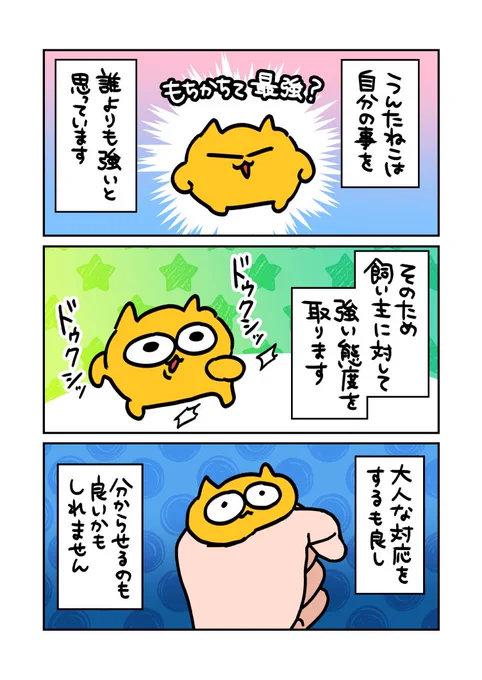 うんたねこの特徴③(再掲)
#うんたねこ
#漫画が読めるハッシュダグ 