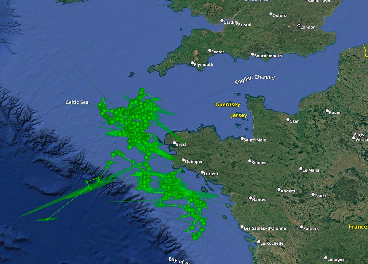 Angling Trust tweet media