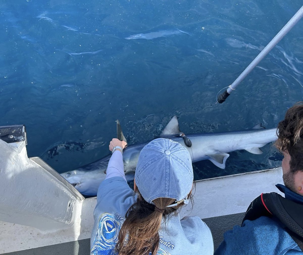 Angling Trust tweet media