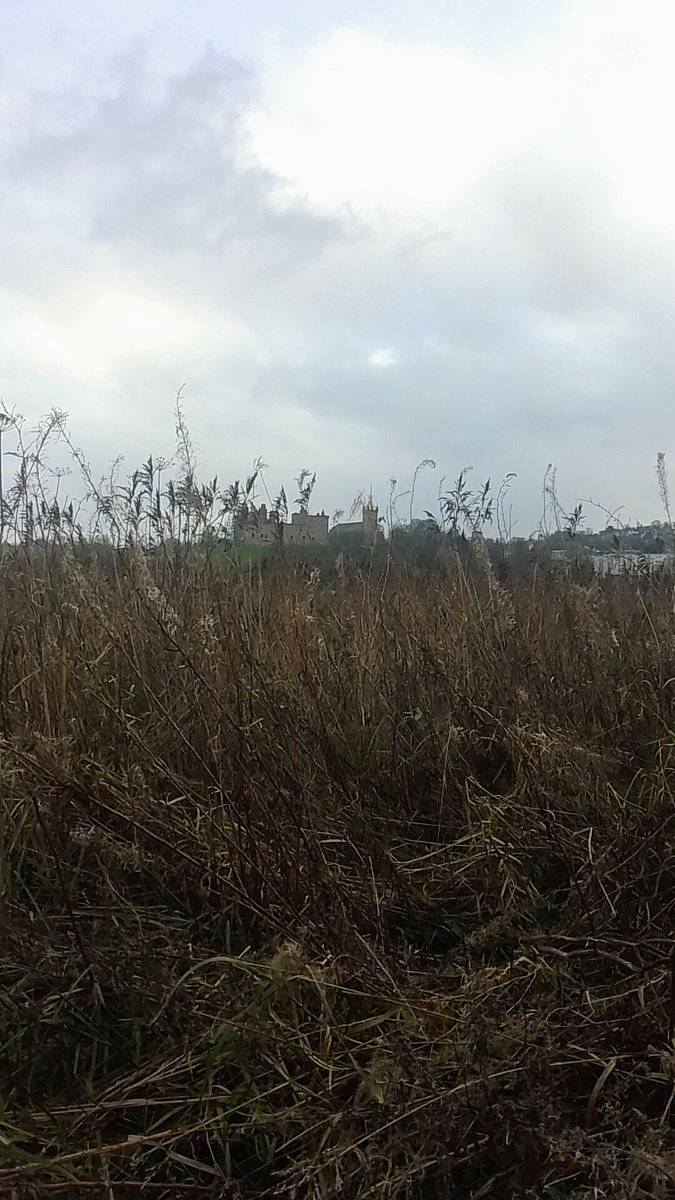 ChristinaC55885's tweet image. Linlithgow, this morning. Linlithgow palace.#linlithgow #linlithgowpalace #WeatherForecast