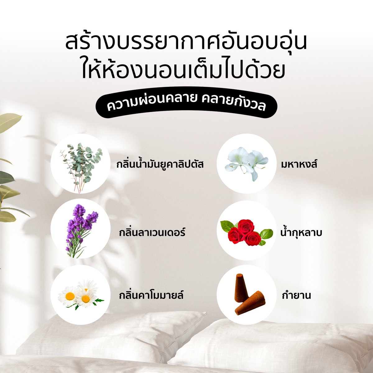 earthlab_th's tweet image. NITRA DEEP SLEEP CATCH SOME Z’S
.
🌙✨ สเปรย์ปรับอากาศเพื่อการนอนหลับที่ลึกและสบาย
ช่วยสร้างบรรยากาศผ่อนคลายก่อนนอน ด้วยน้ำมันหอมระเหยบำบัดที่ช่วยให้คุณหลับง่าย หลับลึก หลับสบาย และผ่อนคลายจากความกังวล
.
✔️ หลับง่ายและลึก
✔️ ลดความเครียดและความวิตกกังวล
✔️…