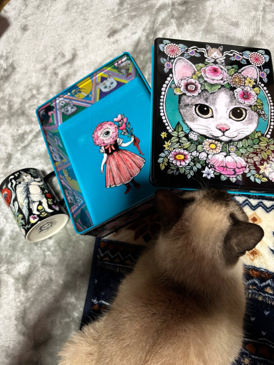 Cavalier_0317's tweet photo. マグカップと角缶。
実物見たら想像以上に可愛い。超絶可愛い(ᐢ⸝⸝>̶̥̥̥᷄ ·̫ <̶̥̥̥᷅⸝⸝ᐢ)꜆꜄💕 
色使いが最高✨👍
眺めているだけでワクワクが止まらない💓
先生の作品が増える度幸せ🍀

#ヒグチユウコ
#ボリス雑貨店 https://t.co/f4A6E6rAep