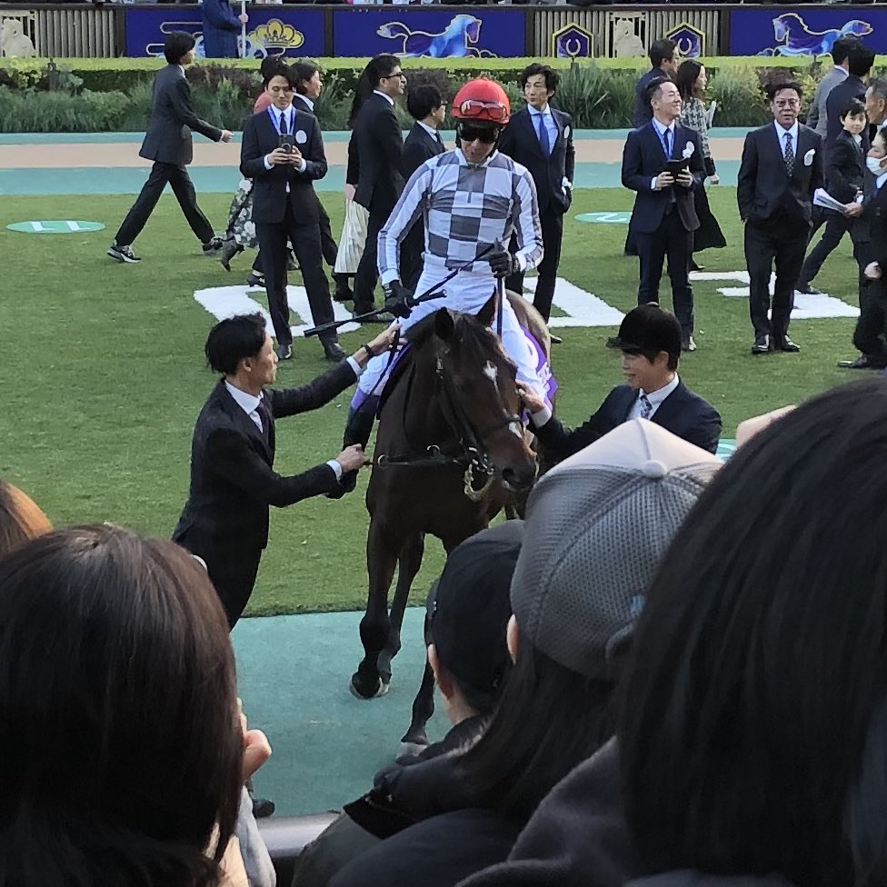 96numayu's tweet photo. #japancup #ジャパンカップ　#ドウデュース　#シンエンペラー https://t.co/0un8wPbaTN