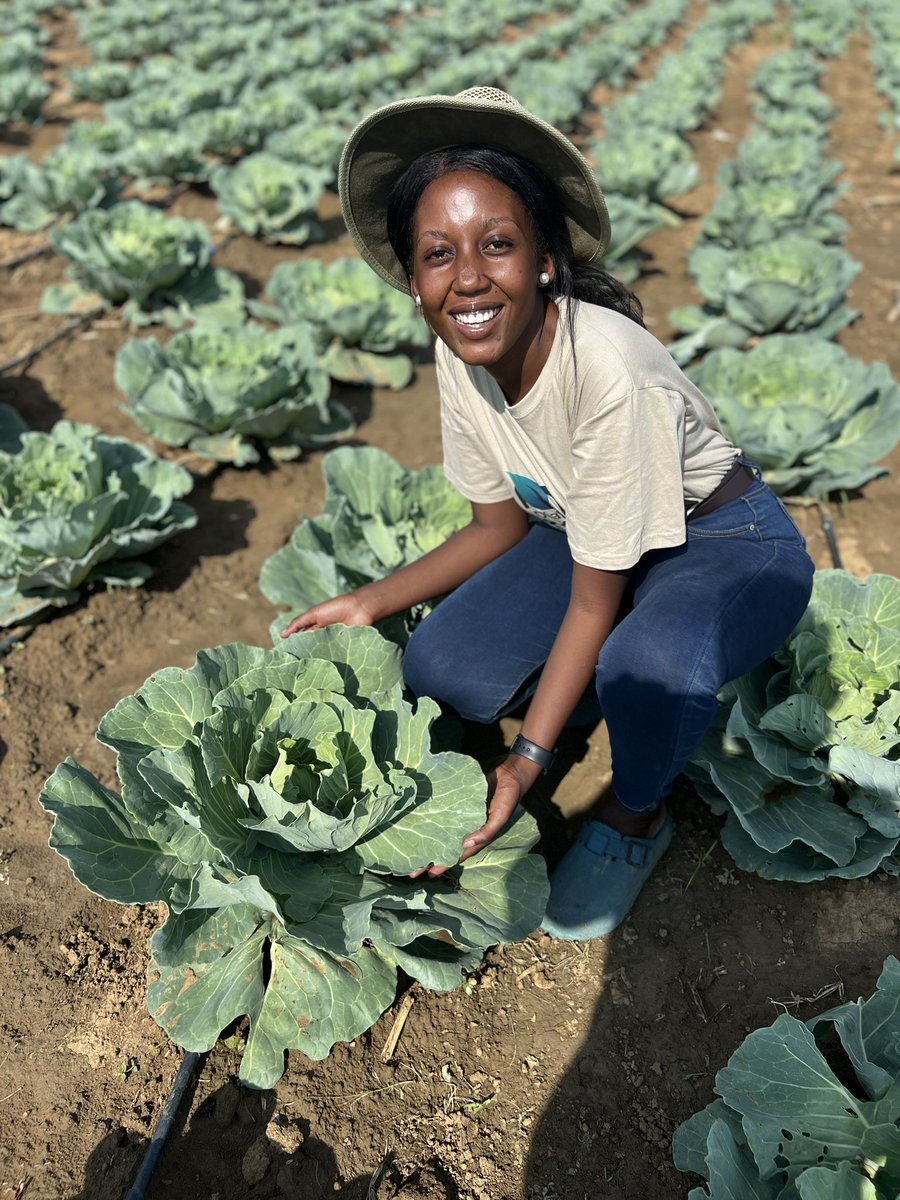 Maanda Sianga tweet media