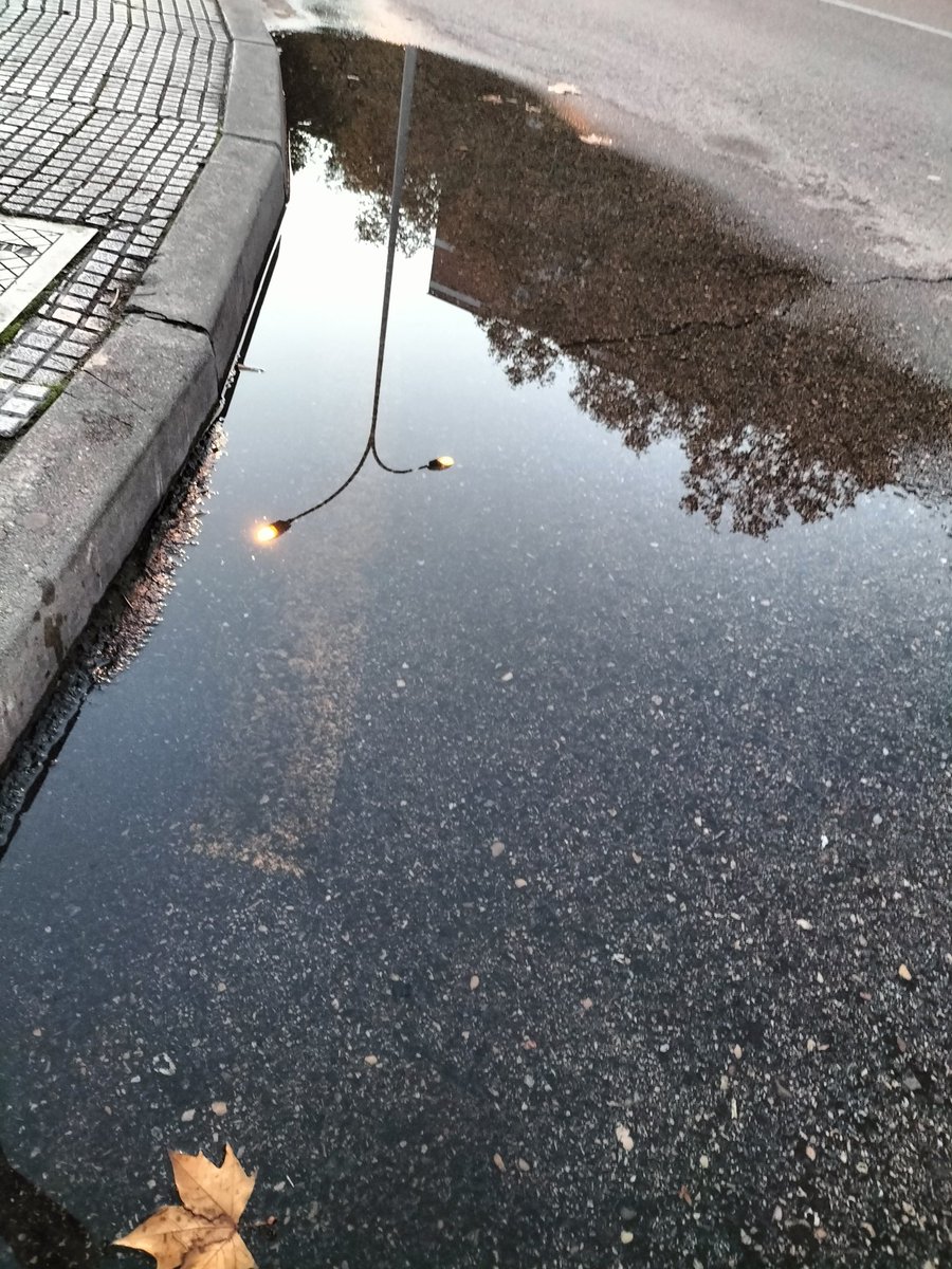 La Belleza del día.
Así la tierra como el cielo.