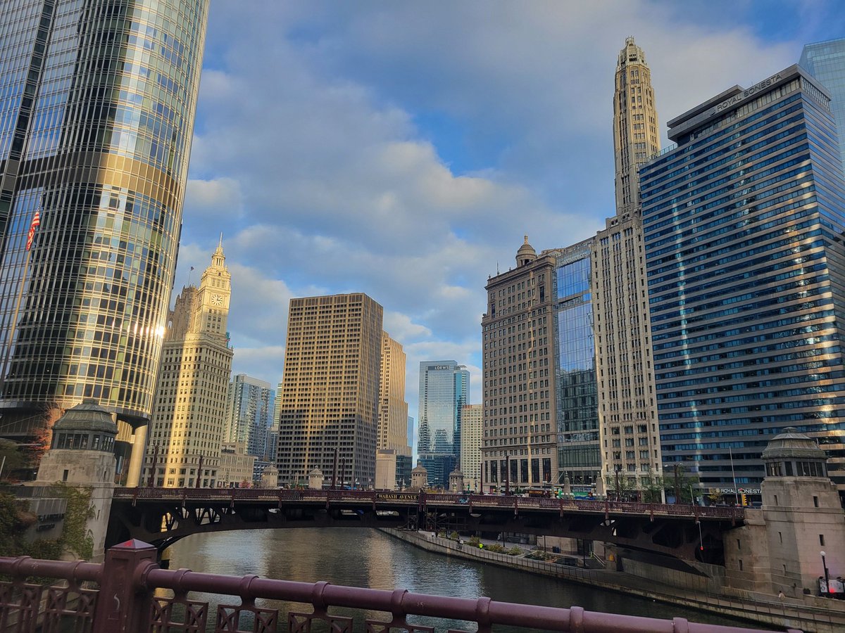 Hayley G. Toth tweet media