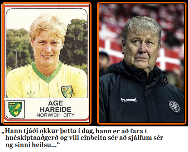 Ég er kannski ekki alveg hlutlaus .... en mikið djöfulli finnst mér þetta samt skemmtilega Skítfuglaleg afsökun til að hætta sem landsliðsþjálfari.