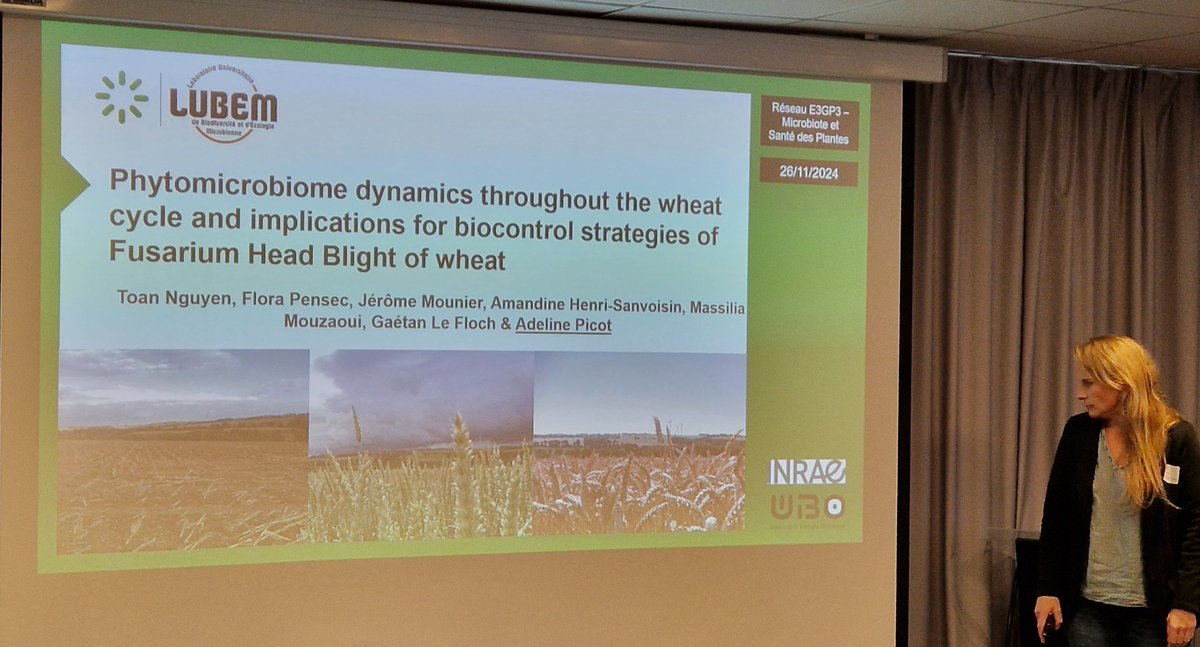 wheatpath's tweet photo. "Dynamique du phytomicrobiome au cours du cycle du #blé et implications pour le #biocontrôle de la #fusariose des épi", présenté par Adeline Picot #LUBEM @UBO_UnivBrest lors de la réunion annuelle du réseau #E3GP3. https://t.co/NUj8CNHdTs