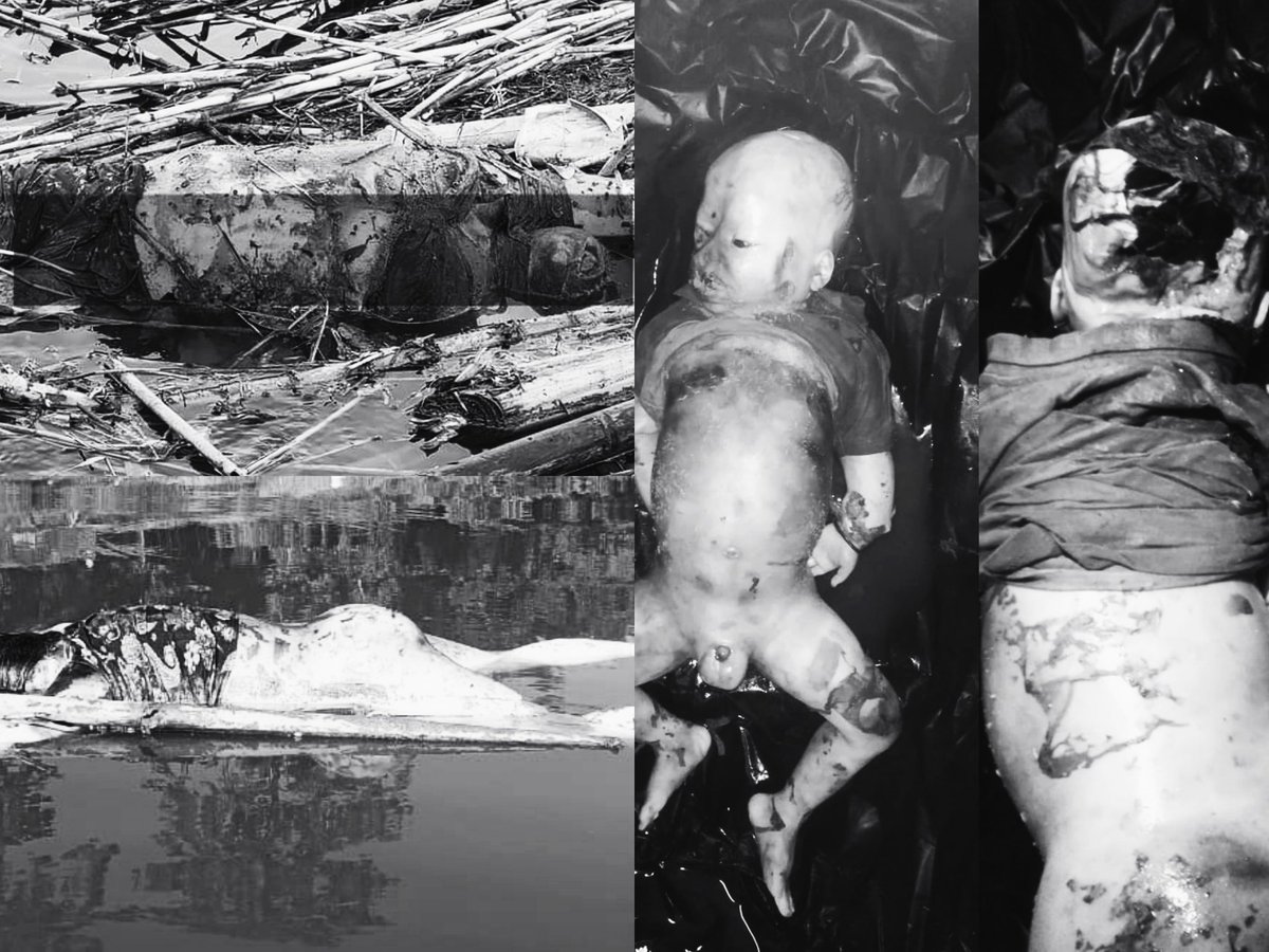 yelhaomee's tweet photo. EXPOSED: BRUTAL AND BARBARIC MURDERS OF INNOCENT #MEITEI/#MEITEI_HINDU 

Hey #KukiZoTransnationalNarcoterrorist and #KukiZoNarcoCommunity, you Inhumane and Uncivilized Terrorists owe us a response!

- What was the fault of these innocent #Meitei/#Meitei_Hindu civilian IDPs? 

- Did they threaten your pathetic #Narco_Empire?

- Were they brutally tortured, raped, and murdered in cold blood just because they were #Meitei/#Meitei_Hindu?

Six innocent #Meitei/#Meitei_Hindu civilians, including Three Women and Three Children, were forcibly abducted and brutally tortured before being murdered by the #KukiZoTransnationalNarcoterrorists in cold blood. The victims included an eight-month-old infant. Their bodies were callously dumped into the river and later recovered from Barak River and Jiri River.

Autopsy reports reveal the Horrific Fate of Three #Meitei/#Meitei_Hindu individuals, brutally tortured and murdered by #KukiZoTransnationalNarcoTerrorists.

#Laishram_Chingkheinganba (2.5 years)

- Suffered a gunshot wound to the face,
- Multiple stab wounds to the chest and hand, 
- Found with his RIGHT Eye missing. 
- His Brain and Membrane were also missing from the occipital area of the scalp.

#Laishram_Heitonbi_Devi (25 years) -  

- Sustained three gunshot wounds to the back side of Her Chest.
- fourth bullet striking her buttocks
- Severe damage to her Heart, Lungs, and Ribs.

#Yurembam_Rani_Devi (68 years) -

- Received five gunshot wounds,
- One bullet to the Skull, 
- Two bullets to the Chest, 
- One bullet to the Abdomen and 
- One bullet to the Arm.

Should we Remain Silent in the face of Such Brutality? It's time to Unite and Demand Justice for the innocent #Meitei/#MeiteiHindu lives lost. We urge all the organizations to take immediate action:

National Human Rights Commission (NHRC) @India_NHRC : Investigate and take action against these #KukiZoTransnationalNarcoTerrorists  heinous crimes.

United Nations Human Rights Council (UNHRC) @UNHumanRights : kindly take a full Fact Note of these brutally tortured and murders and pressure the Indian Government to take Immediate Action.

Indian Government @Gov @PMOIndia @HMOIndia - Take a decisive action against this #KukiZoTransnationalNarcoTerrorist and forward a Concrete Steps to prevent such incidents in the future.

It's time to break the silence and demand justice and accountability for these heinous crimes.
 
#Justice4Meiteis
#SaveMeitei
#SaveMeiteiHindu
#SaveManipur
#SaveOurNation 

from

#KukiBabyKillers
#MurderOfHumanity
#KukiWarCrimes
#KukiAtrocities
#KukiZoEngineeredManipurViolence
#KukiZoNarcoTerrorists

@USCCR @ACLU @NHRCIndia @EHRC @CdnHumanRights @AusHumanRights @UNHumanRights @UNICEF @amnesty @HMOIndia @official_dgar @Spearcorps @easterncomd @NIA_India @Republic @CBIHeadquarters @htTweets @vijaita @DeccanHerald @DeccanChronicle @ZeeNews @republic @NELiveTV @ABPNews  @CNNnews18 @News9Tweets @newslaundry @CRUXX_Ind   @NENowNews @kartikeya_1975 @vijaygajera @Deblinabose17 @TimesAlgebraIND @rashtrapatibhvn @PMOIndia @AmitShah @narendramodi @NBirenSingh @ndtvfeed @ndtv @thewire_in @KaranThapar_TTP @EastMojo

#NB - video contains graphic, violent, and sensitive content.