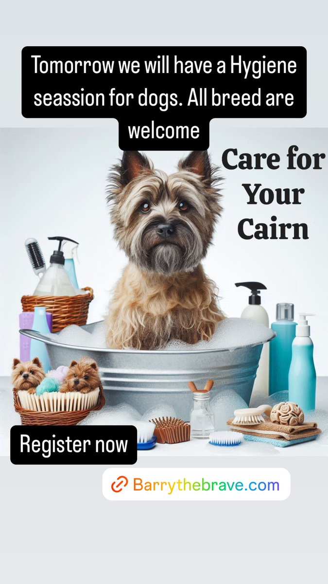 barry_thebrave's tweet image. Live Hygiene Class with Barry The Brave will be tomorrow, 18:00 GMT

Does your dog smell? We will help you to remove the smell without damaging the coat

How to clip nails? How to clean teeth?

All breed are welcome - see photos 

#doghygiene #live #liveclass
