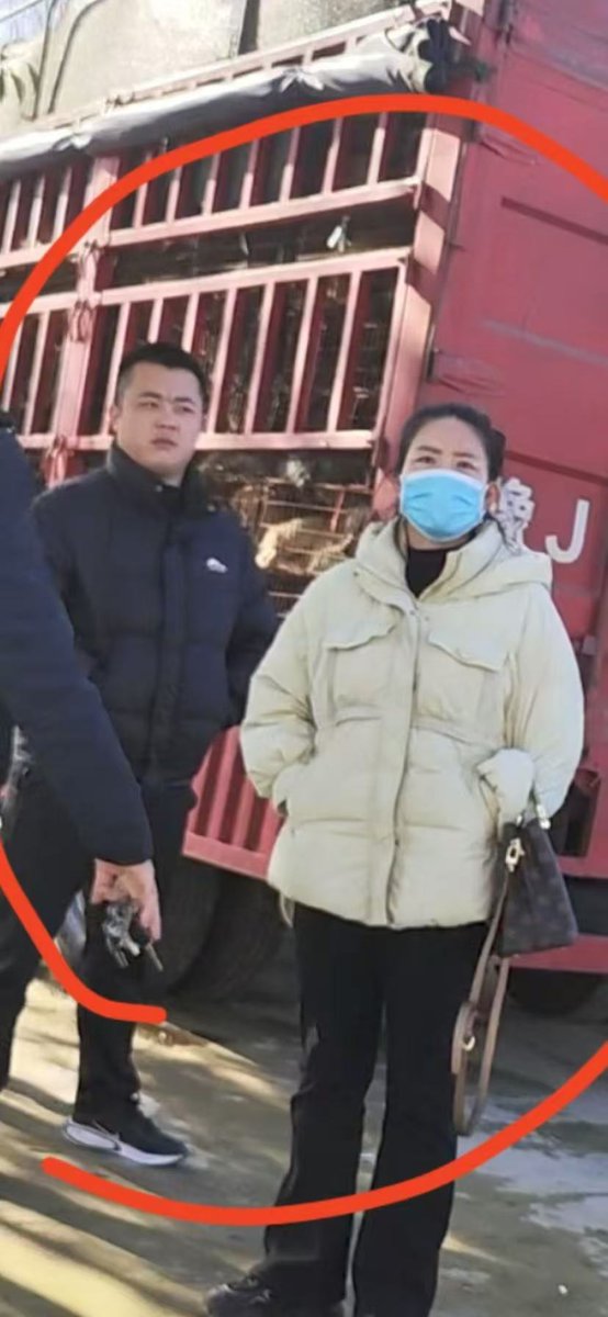 WeAreNotFood's tweet photo. This woman is a #dogmeat dealer who kills hundreds of thousands of dogs a year.

Look at her LV bag. The bag has been paid for with the blood of slaughtered dogs!!

November 26th, 2024, Zhumadian, Henan, China. 
Shame on you, China 🇨🇳 

#illegaldogmeattrade #wearenotfood https://t.co/v4DvdlpVRZ