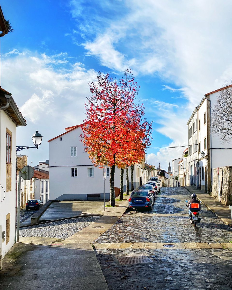 Outono solleiro (por momentos)