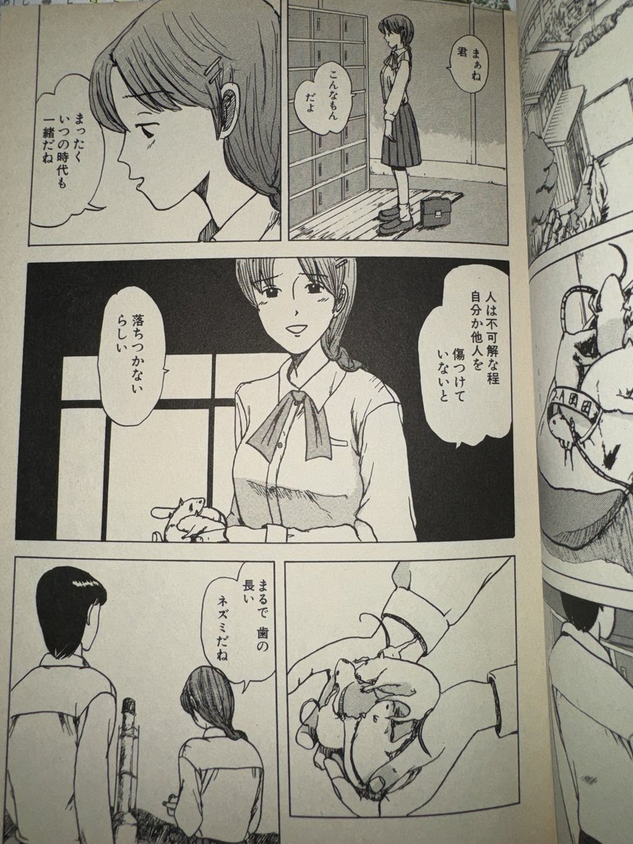 ︎ ︎︎︎︎︎璃 tweet media