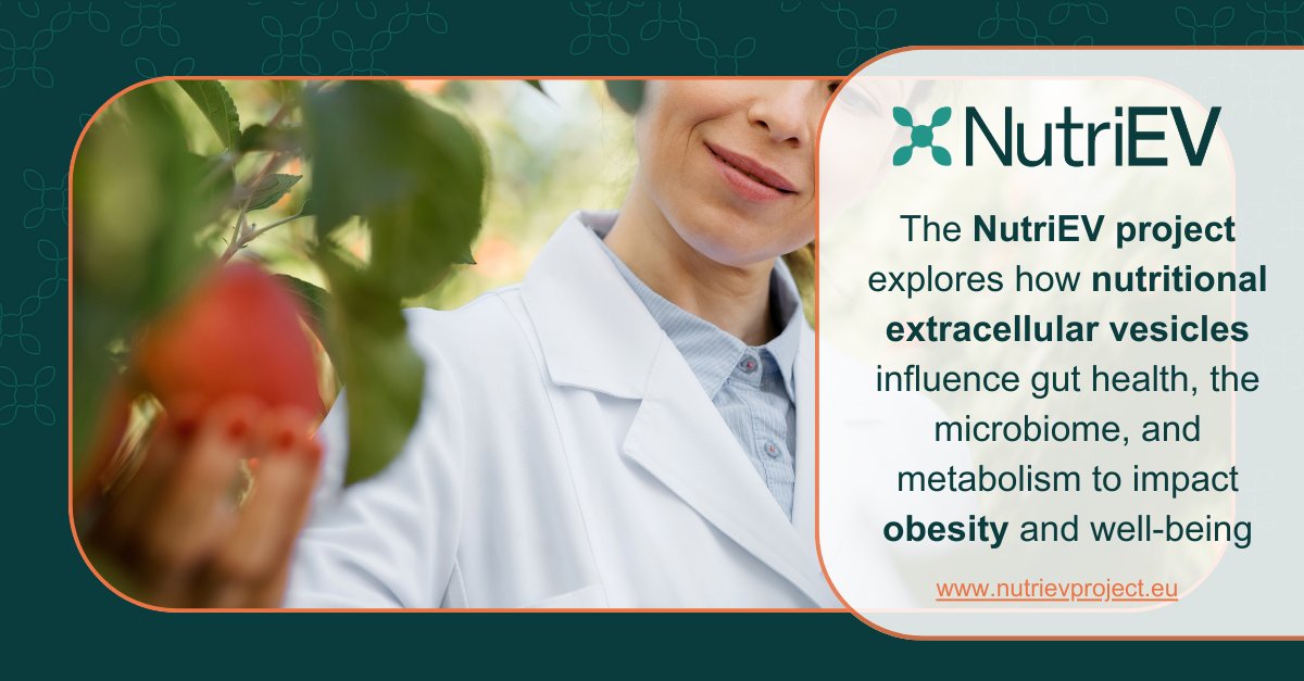 NutriEVProject's tweet photo. 🌟 The #NutriEVProject is exploring how nutritional #ExtracellularVesicles impact gut health, the microbiome, & metabolic regulation, and their link to #obesity and overall well-being.
👉 Learn more: https://t.co/RhAKFJMR74
#NutriEV #EV #EVs #Nutrition #Therapeutics #Superfoods https://t.co/t3E877OdPQ