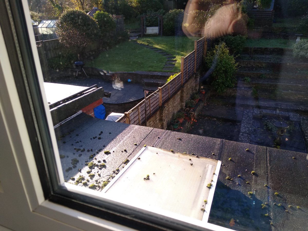 LittleMolly2016's tweet photo. It probably isn't obvious but there's either smoke or steam rising from the top of the fence! My #Hedgewatch will therefore be indoors today... After a little mid morning snack! https://t.co/RpYx7I82It