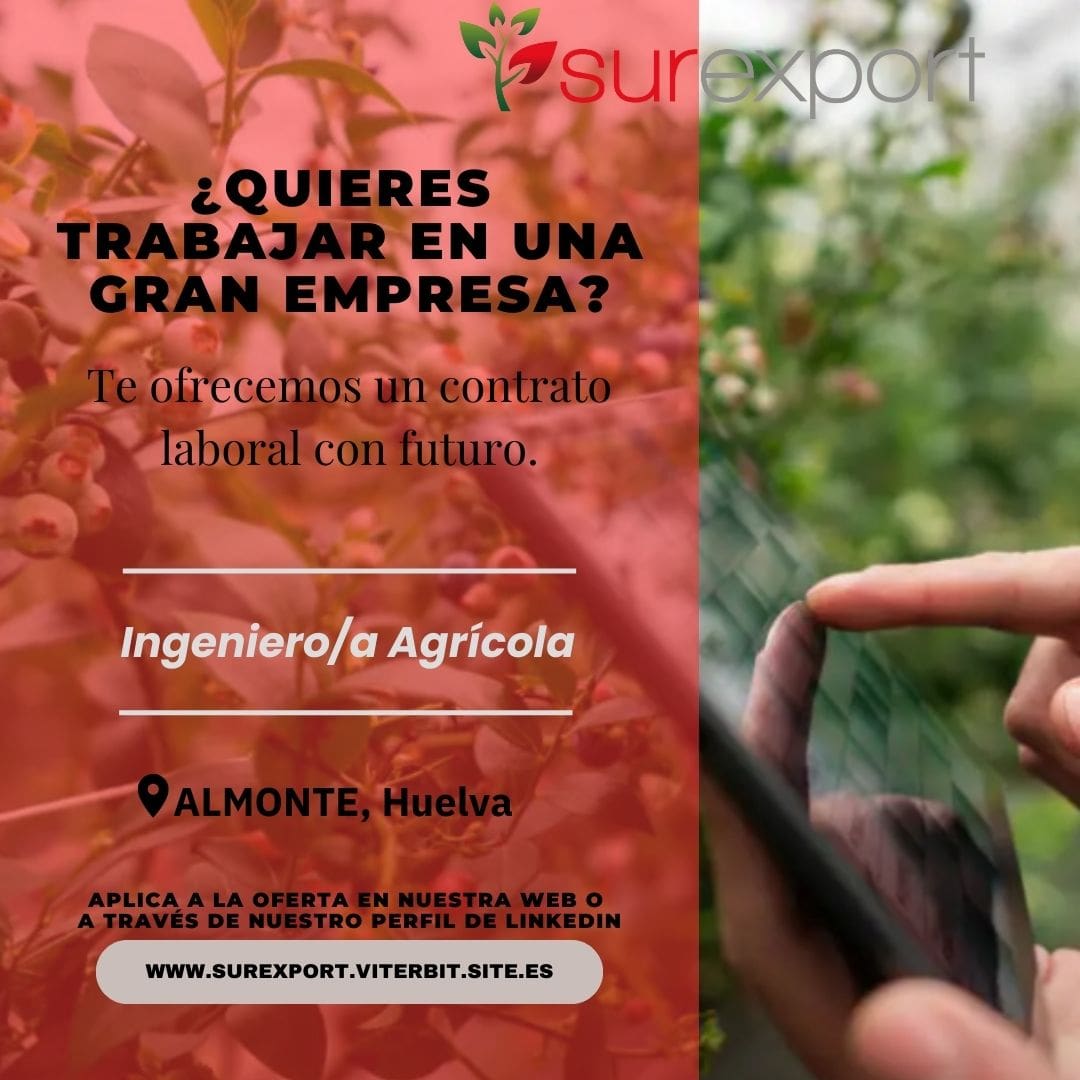 Surexport Berries tweet media