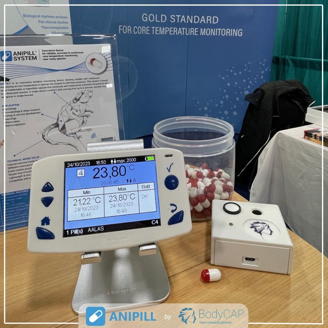 Anipill 💊 tweet media