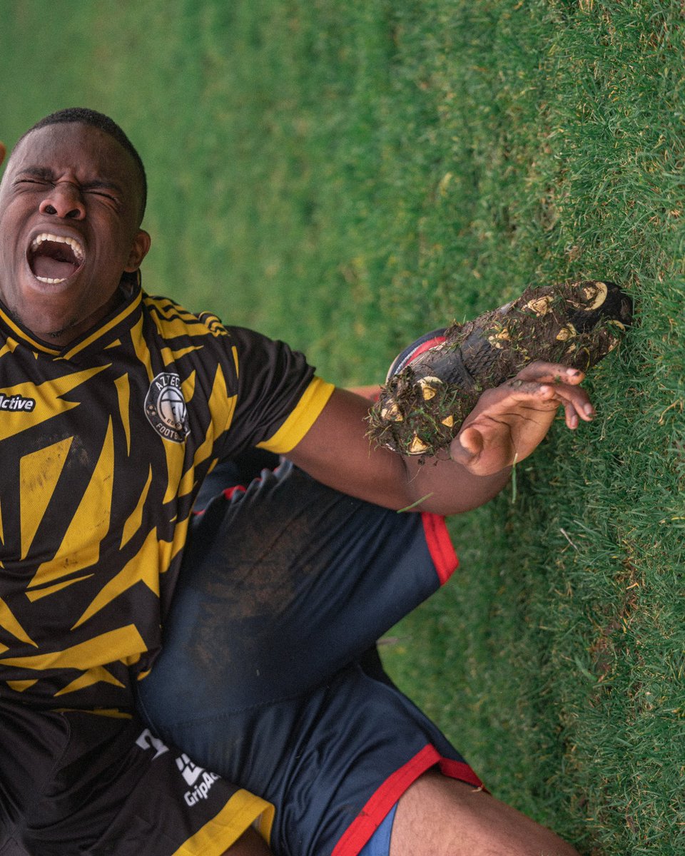 paul gilbey tweet media