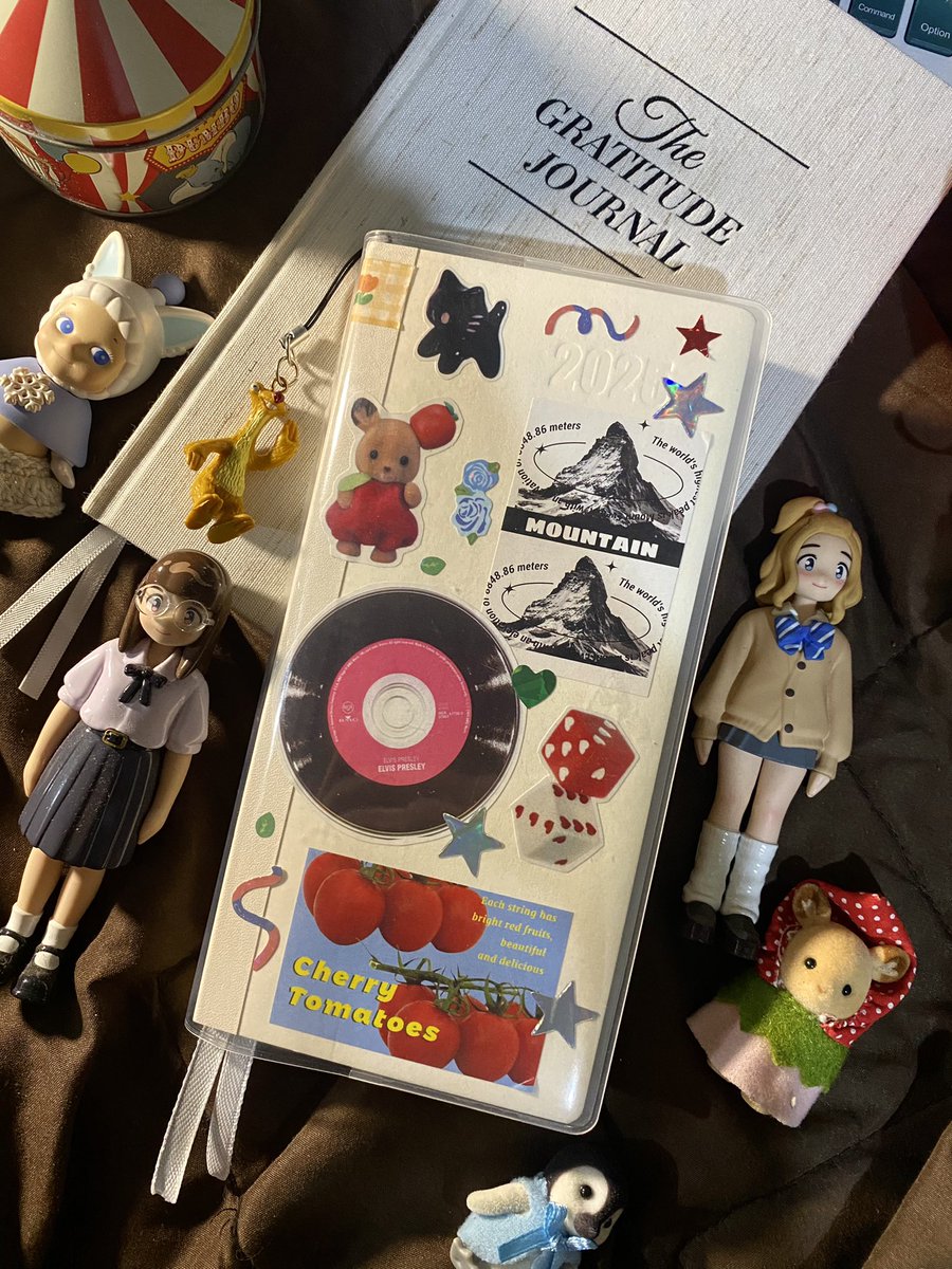 my 2025 planner 💓