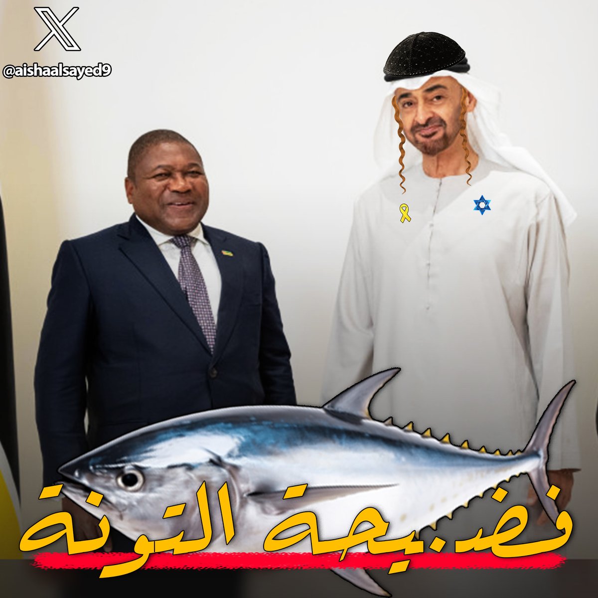 عائشة السيد - Aisha AlSayed tweet media