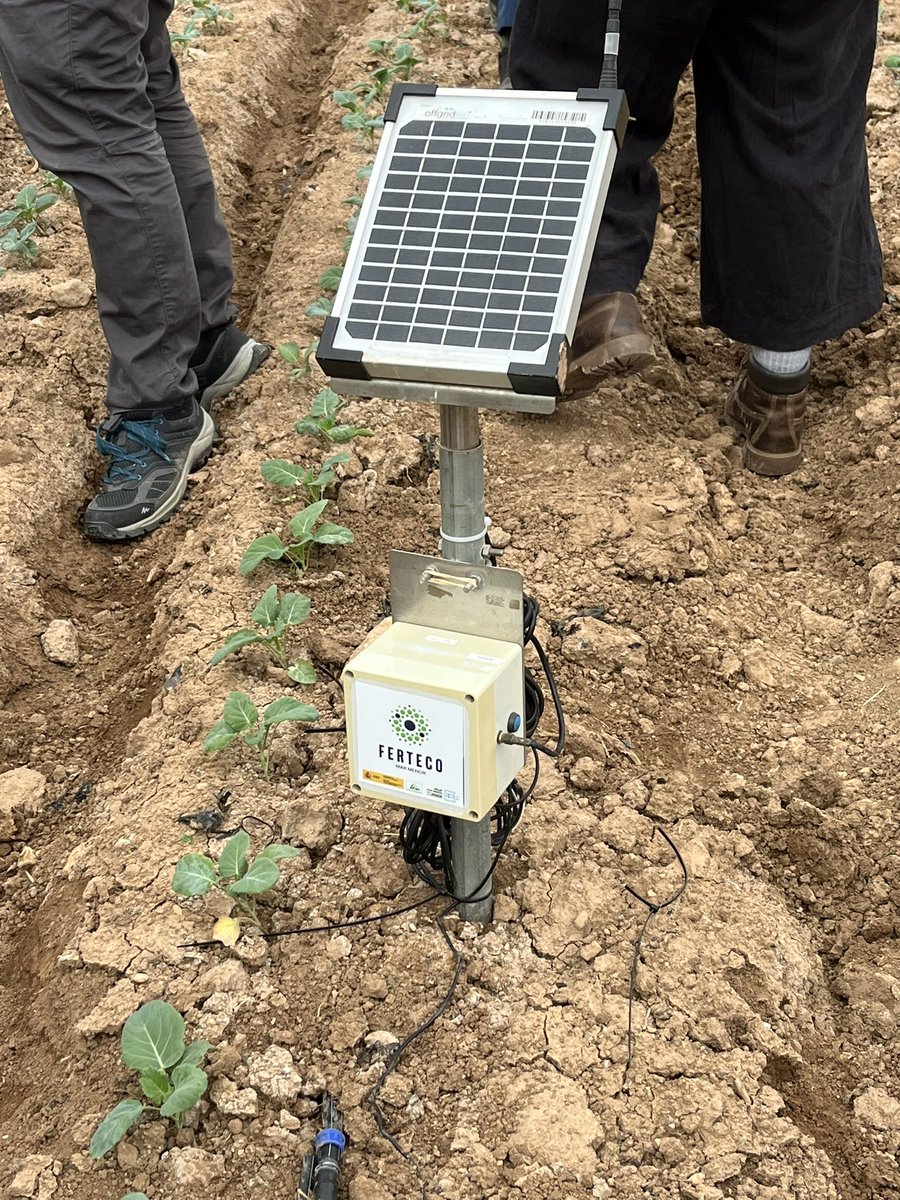 We’re learning about the environmental and water risks of the Campo de Cartagena area, seeing local projects implementing good agricultural practices