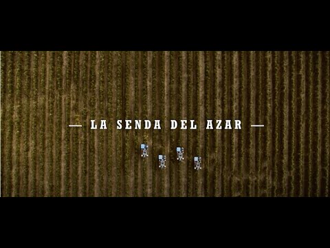 🌿 Happy #WorldOlivetreeDay 🌿

On #WorldOliveDay, we want to highlight the importance of #SHD Olive Trees in the current landscape of oil production. The SHD model offers an opportunity for #ResourceOptimization, resulting in a more sustainable crop.

eu1.hubs.ly/H0dZN4D0