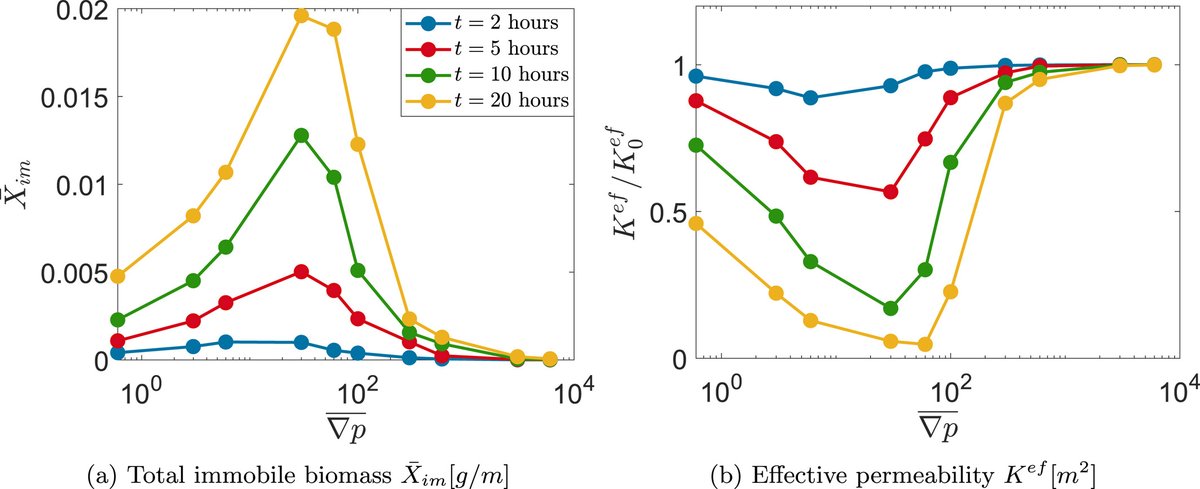 📘NEW SCIENTIFIC ARTICLE

Pore-Scale Coupling of Flow, Biofilm Growth, and Nutrient Transport: A Microcontinuum Approach.

➡️agupubs.onlinelibrary.wiley.com/doi/10.1029/20…