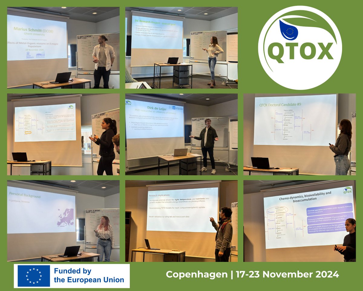 QTOX8's tweet image. 🎓 Our #MSCA Doctoral Fellows had the opportunity to enhance their skills in dynamic and population modelling during two exciting courses in Copenhagen last week!
@MSCActions #H2021 #ecotoxicology #DynamicModelling #PopulationModelling
