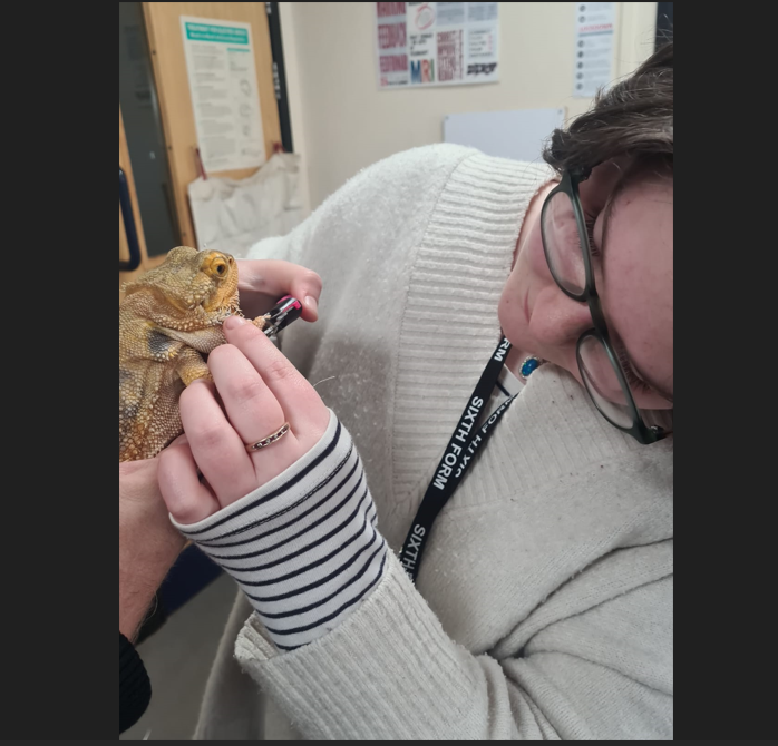 Highdown School tweet media