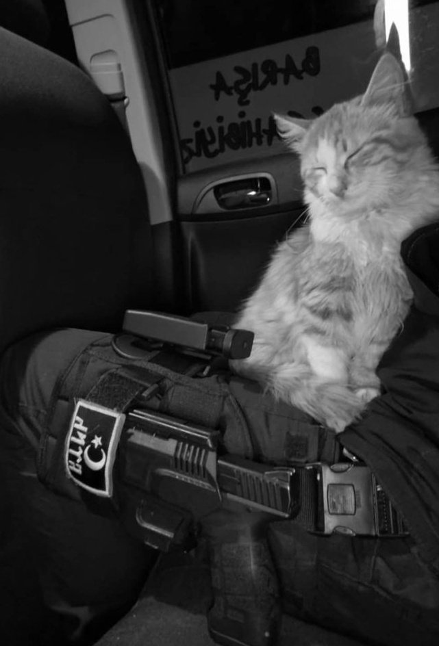 barrett (@irfanayhann) on Twitter photo 