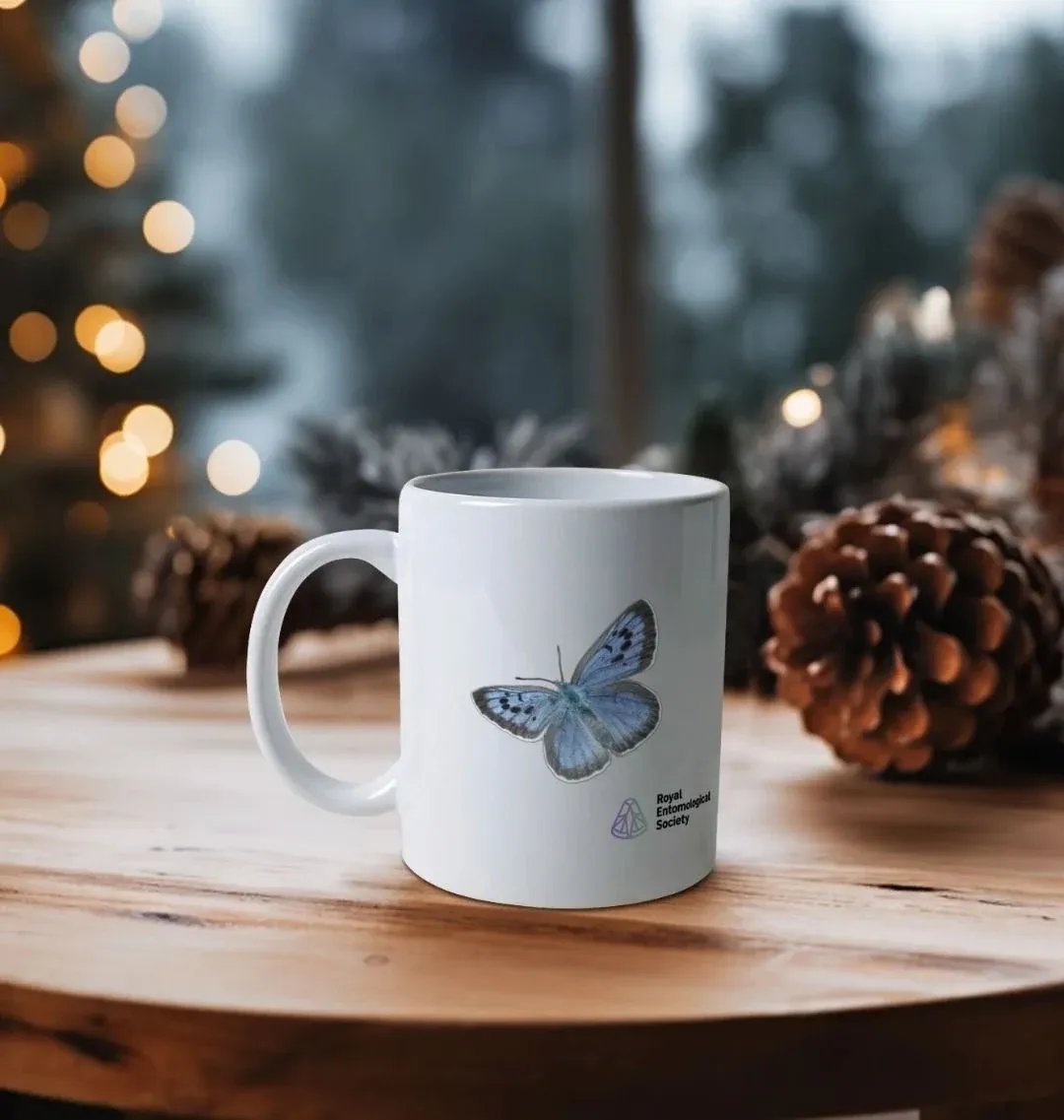 Royal Entomological Society tweet media