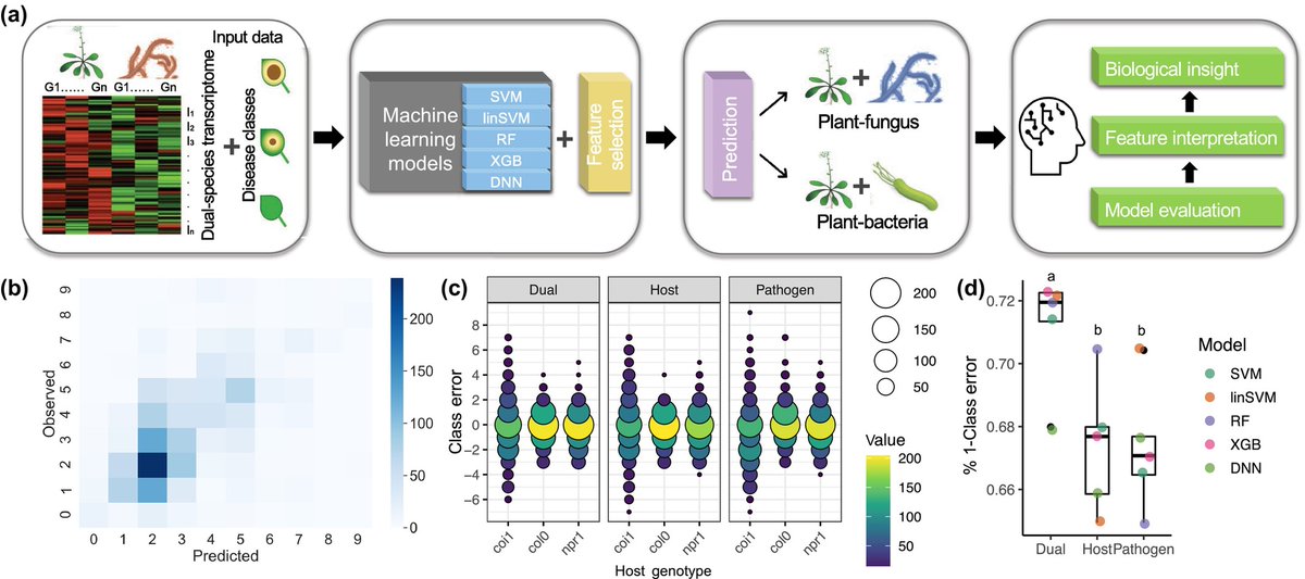 #MachineLearning-based identification of general transcriptional predictors for plant #disease

Sia et al.

📖 nph.onlinelibrary.wiley.com/share/QTHAPQMF…
