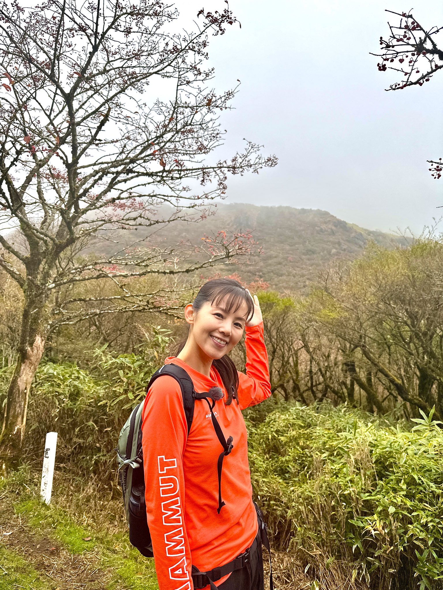 絵画　作者小川真奈美 絵画 作者 小川真奈美