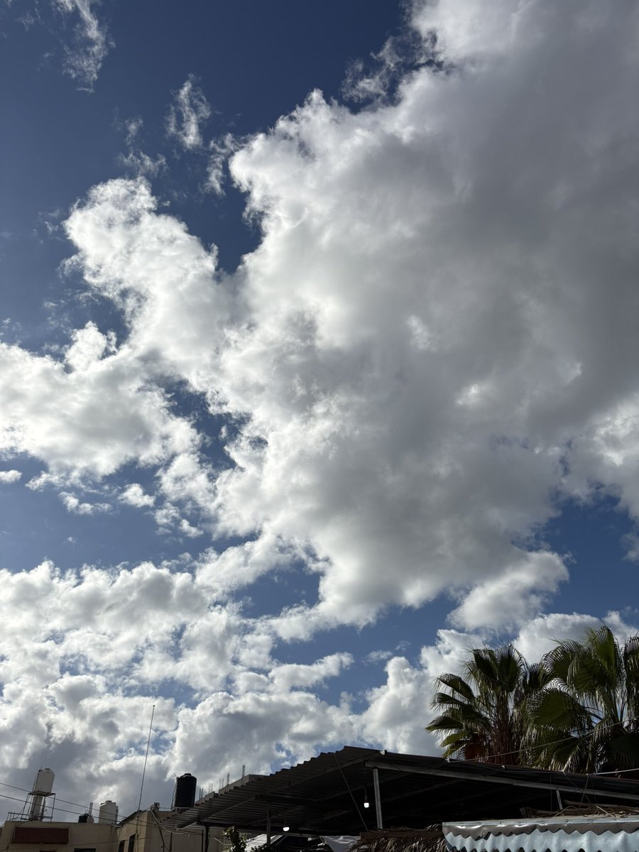 Hind_Gaza's tweet image. I did not choose reporting - reporting chose me. 

Gaza | 416 Days