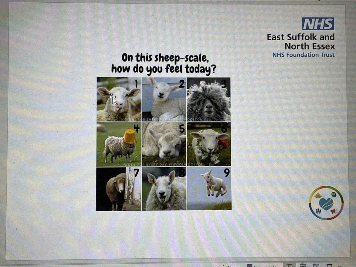 Vicky Thompson (@victhompson123) on Twitter photo #IPQuality Autumn Quality Away Day - wellbeing session. Great start <a href="/ESNEFT/">East Suffolk and North Essex NHS Foundation Trust</a> <a href="/HWB_ESNEFT/">Health & Wellbeing at ESNEFT</a> team asking how we all feel today on the sheep scale. <a href="/ESNEFT_CN/">ESNEFT Community Nursing</a> <a href="/ESNEFTChaplains/">ESNEFT Chaplains 💙</a> #IPQuality Autumn Quality Away Day - wellbeing session. Great start <a href="/ESNEFT/">East Suffolk and North Essex NHS Foundation Trust</a> <a href="/HWB_ESNEFT/">Health & Wellbeing at ESNEFT</a> team asking how we all feel today on the sheep scale. <a href="/ESNEFT_CN/">ESNEFT Community Nursing</a> <a href="/ESNEFTChaplains/">ESNEFT Chaplains 💙</a>
