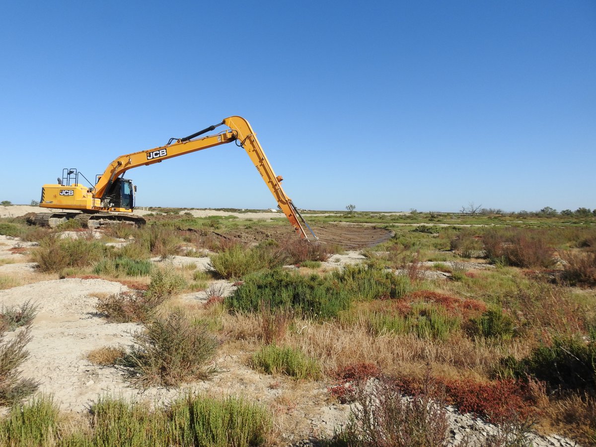 spanish_nature's tweet photo. So much work being undertaken by 'Guadalquivir &amp; Doñana Marshes Alliance' to restore wetlands and these will be of enormous benefit to birds and other fauna and flora in the region of Andalusia. https://t.co/7VJ1bqUqqO