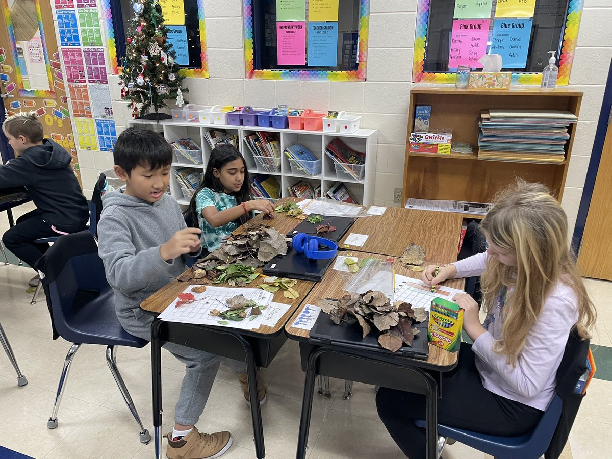 mrsosterman's tweet photo. We organized and graphed our leaves by color! https://t.co/NEerO6LT8D