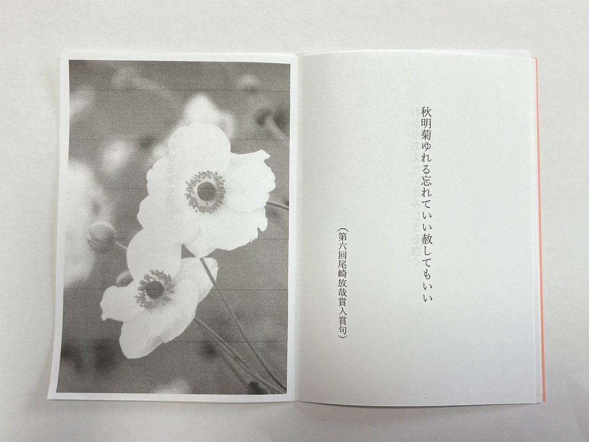 genuinegohantei's tweet photo. 実はまだ私も #紅葉抄 句集拝見してません!ということでご本人からの写真を追加投下😍
#文学フリマ東京39 #B37 #サザンカネット句会 https://t.co/dbbJSgAIas