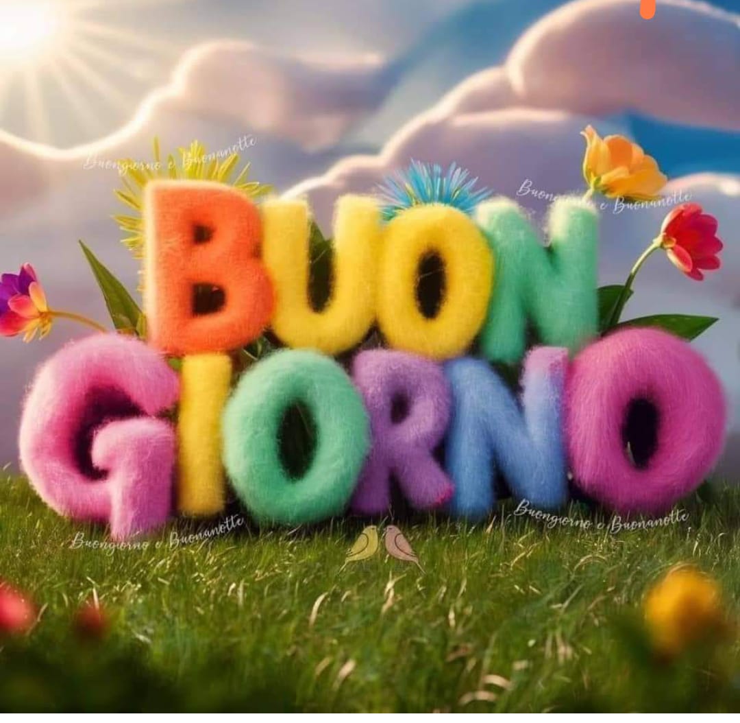 AlessioBellucc5's tweet photo. @Fiordal92877056 Buongiorno tesoro mi sono appena svegliato... Ma un oretta ancora la faccio di sonno🥰😘😍🌹 https://t.co/bzHUqJfVRQ