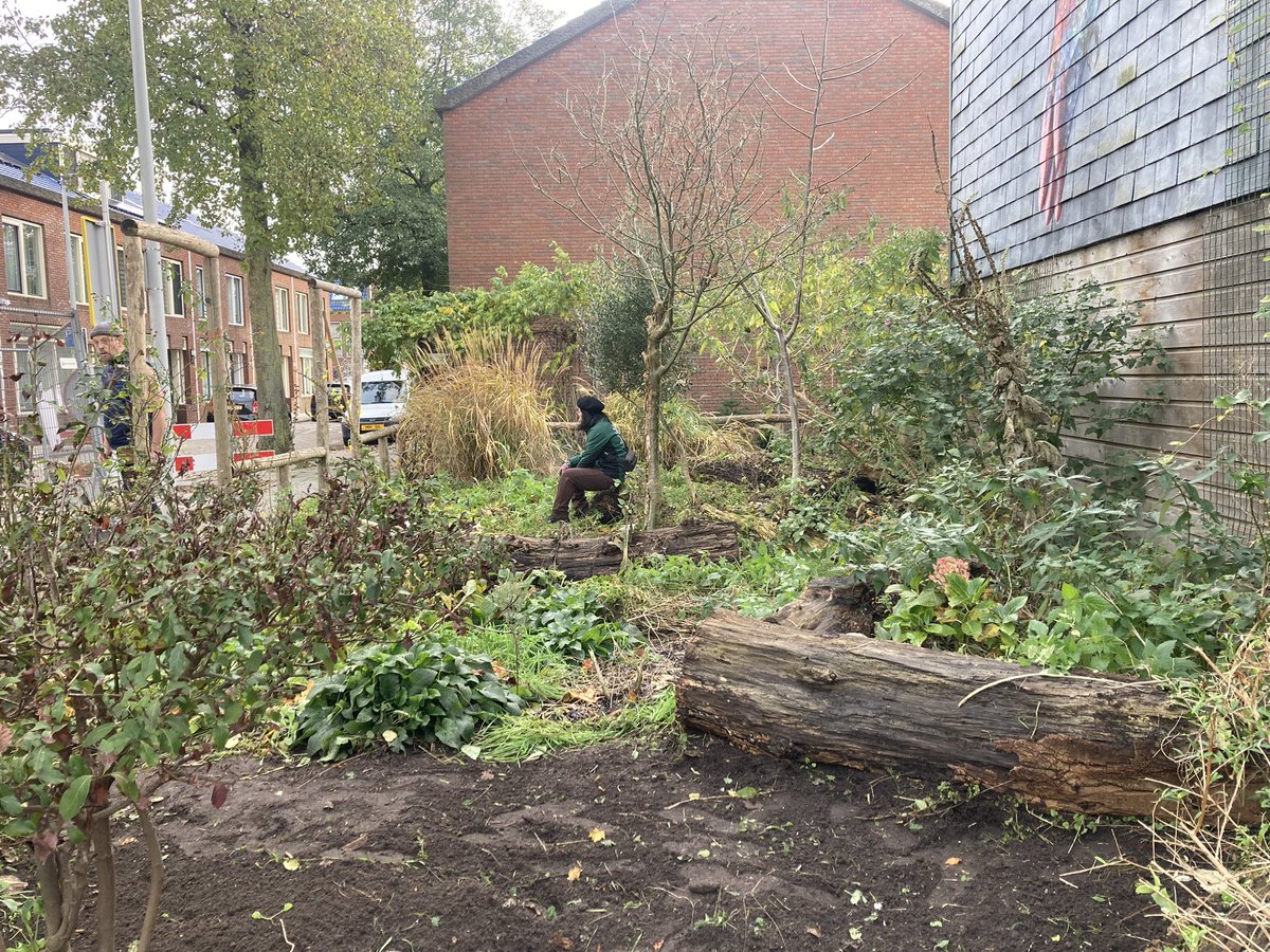 rinibiemans's tweet photo. Het perk aan de #kamperfoeliestraat heeft haar herfstknipbeurt gehad (Robert en Qing) het kan nu in winterrust… #biocrow #hefwonen https://t.co/HBqCi8TVDP https://t.co/MoybEshb78