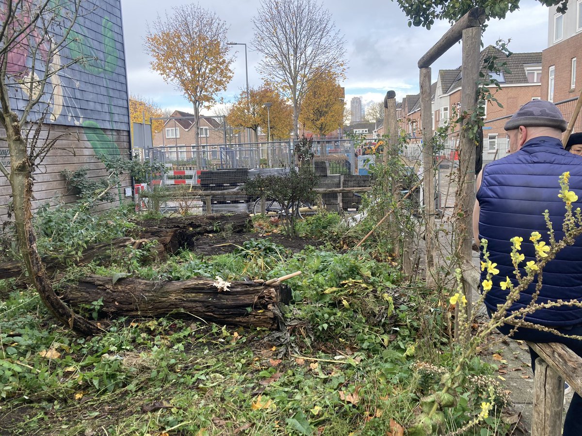 rinibiemans's tweet photo. Het perk aan de #kamperfoeliestraat heeft haar herfstknipbeurt gehad (Robert en Qing) het kan nu in winterrust… #biocrow #hefwonen https://t.co/HBqCi8TVDP https://t.co/MoybEshb78