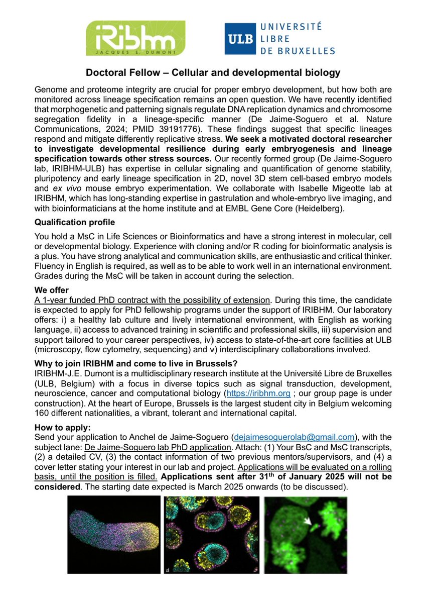 Anchel de Jaime-Soguero (@anchel_91) on Twitter photo 🚨 🚨 🚨 Job Alert!
I am currently opening my research lab at <a href="/iribhm_ulb/">IRIBHM Jacques E. Dumont</a> <a href="/ULBruxelles/">Université libre de Bruxelles</a> in Belgium and I am seeking for an enthusiastic PhD candiate to study cellular stress across mammalian development and lineage specification! If you are interested, info below. Please RT! 🚨 🚨 🚨 Job Alert!
I am currently opening my research lab at <a href="/iribhm_ulb/">IRIBHM Jacques E. Dumont</a> <a href="/ULBruxelles/">Université libre de Bruxelles</a> in Belgium and I am seeking for an enthusiastic PhD candiate to study cellular stress across mammalian development and lineage specification! If you are interested, info below. Please RT!