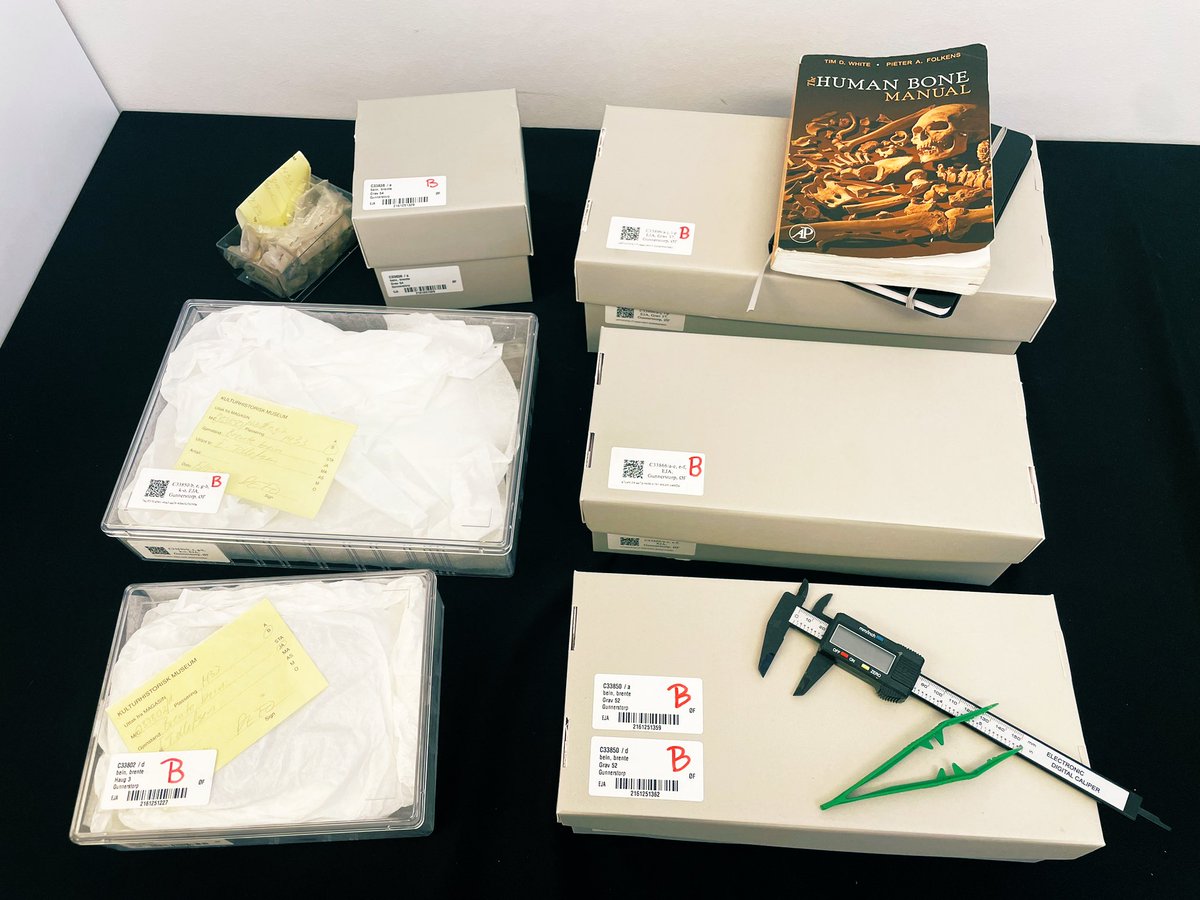 Dr Emma Tollefsen (@emmatollefsen) on Twitter photo Last week I had the pleasure of visiting <a href="/Kulturhistorisk/">Kulturhist. museum</a> in Oslo to look at some interesting Iron Age cremations and reassess the material as part of the <a href="/bodypoliticsERC/">bodypolitics</a> project 💀🔥⚱️🔍 #postdoclife #visitingresearcher #bioarch Last week I had the pleasure of visiting <a href="/Kulturhistorisk/">Kulturhist. museum</a> in Oslo to look at some interesting Iron Age cremations and reassess the material as part of the <a href="/bodypoliticsERC/">bodypolitics</a> project 💀🔥⚱️🔍 #postdoclife #visitingresearcher #bioarch