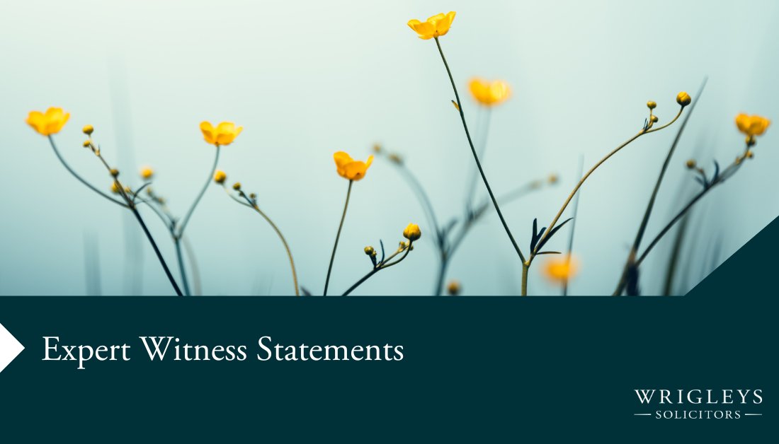 Our #expertwitness statements are tailored to the client’s and #Deputy’s specific circumstances and set out the likely annual profit costs and disbursements; and also the one off costs that might arise when circumstances change. 
🔗 bit.ly/2MtxyFt 
#CourtofProtection
